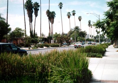 City of Riverside University Avenue Specific Plan and Streetscape Plan